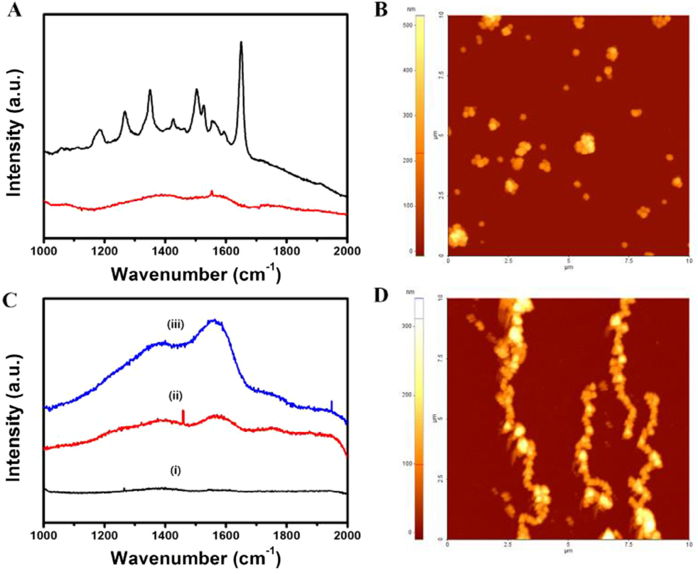 Figure 6: SERS results for magnetic particles with a concave gold shell