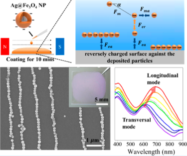Schematic from the paper on polarization-dependent optical responses in magnetically assembled nanochains