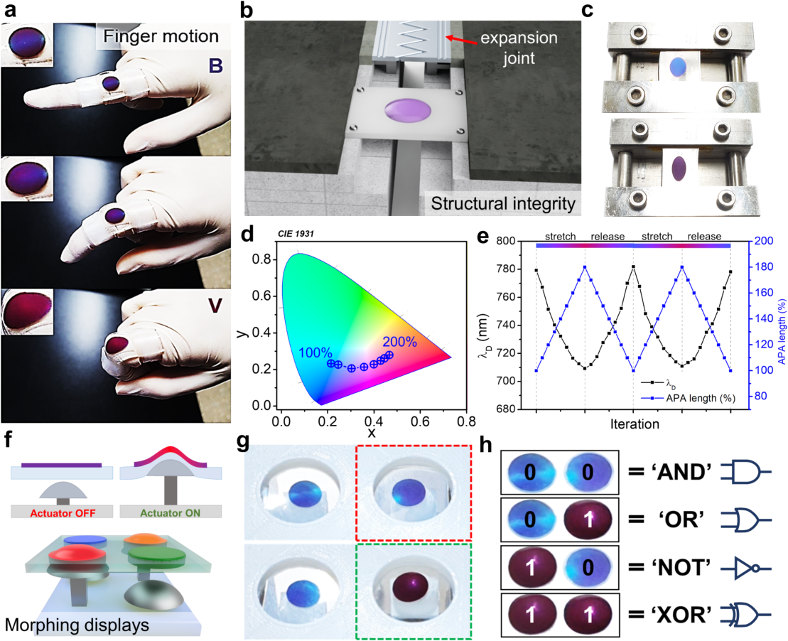 Figure 6: Strain-sensing results for a magnetic-plasmonic particle array
