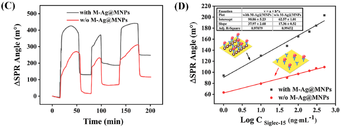 Figures 5C and 5D: comparison of SPR time response and Siglec-15 concentration response with and without nanoparticles