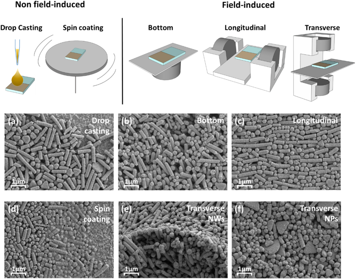 Schematic from the paper on water oxidation using Ni incorporation and magnetic-field assembly