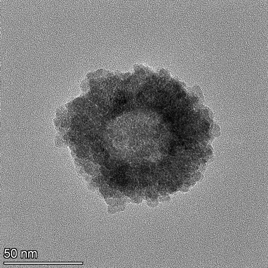 SP-hMNP-COOH hollow iron oxide nanoparticle TEM image